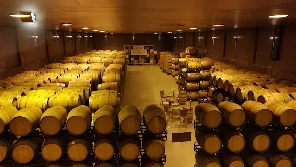 Bodegas San Alejandro
