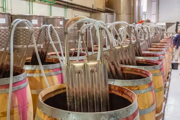 Bodegas Hispano Suizas - Requena