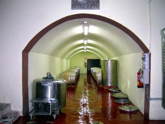 BODEGAS AUGUSTA BILBILIS S.L. - Calatayud