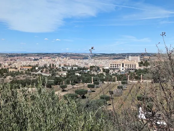 Viñedos Cigarral Santa María - Toledo