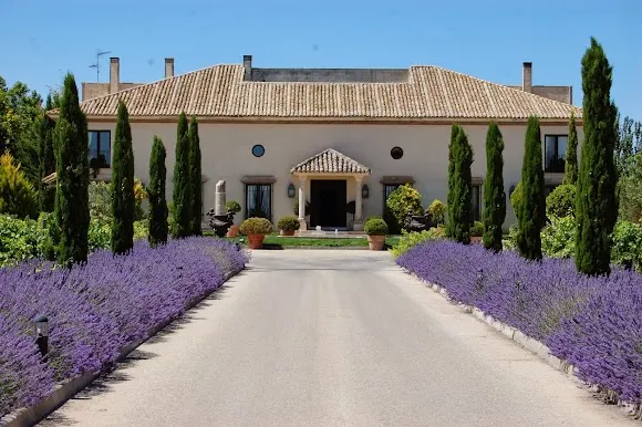 Bodegas Martúe - Ocaña