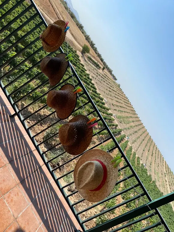 Finca Valdelajara - Torrijos