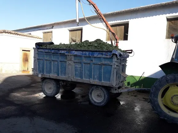 Bodegas Sepúlveda Díaz S.L.