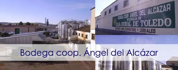 Ángel del Alcázar, S. Coop de C-LM - Alcázar de San Juan