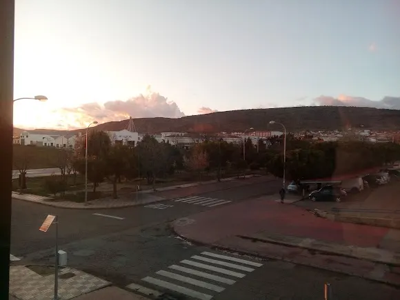 Flor de Yébenes - Sonseca