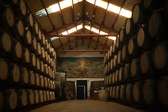 Bodega La Baronía de Turís - Valencia