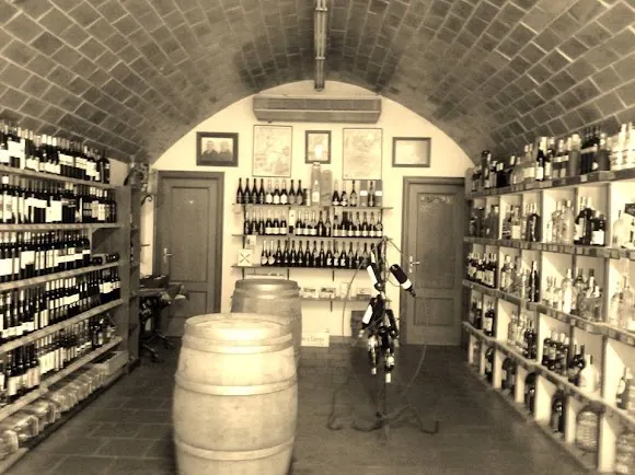 Bodega Ca Tino - Llíria