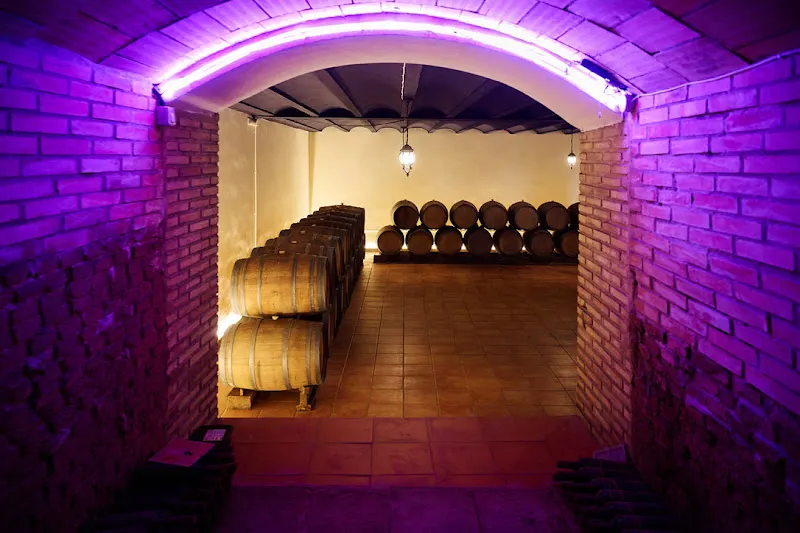 Bodegas NOVOS - Finca Ardal - Requena