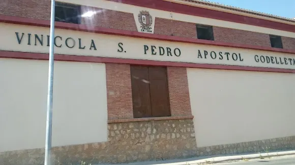 Cooperativa Vinícola San Pedro Apóstol (Sección Bodega)