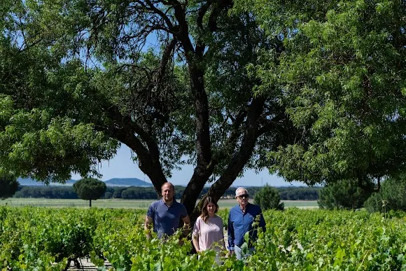 Bodegas Félix Lorenzo Cachazo
