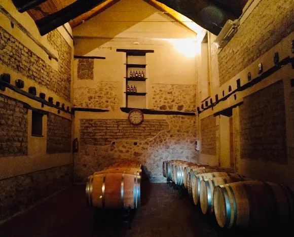 Bodega Viña Valdemazon - Valladolid