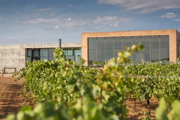 Bodega Finca Montepedroso - Rueda