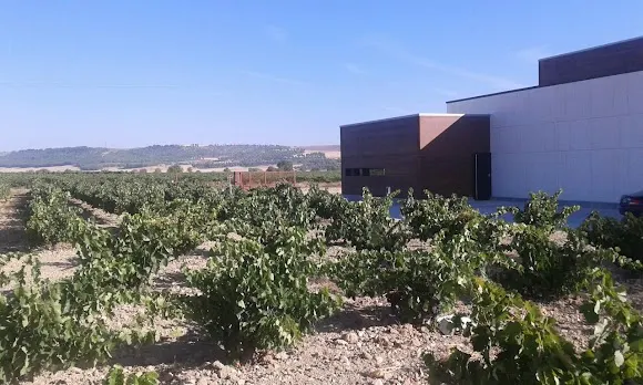 Bodegas Salvueros - Valladolid