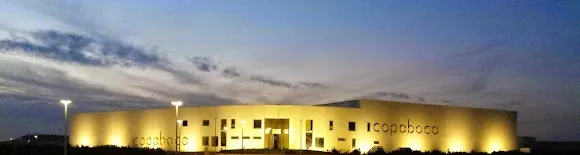 Bodegas Copaboca - Tordesillas