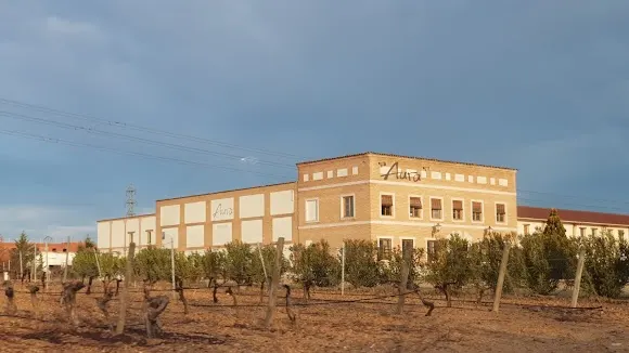 Bodegas AURA - Tordesillas
