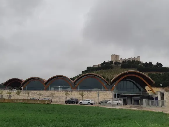 Bodegas Protos