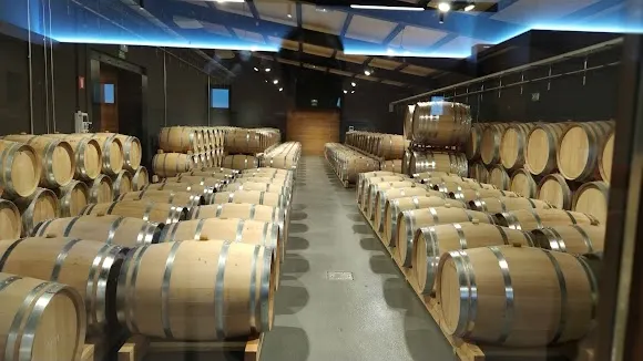 Bodegas Baden Numen S.L. - Valladolid
