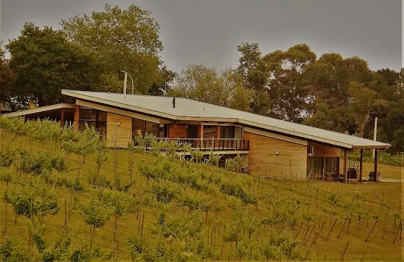 Zabala Txakolina Bodega