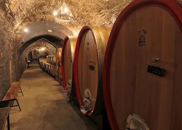 Bodegas Frontonio - La Almunia de Doña Godina